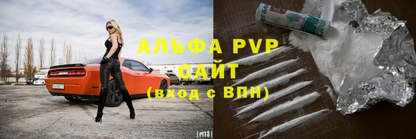 прущие грибы Майский