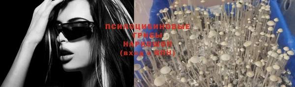 прущие грибы Майский