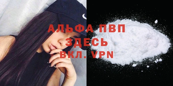 прущие грибы Майский